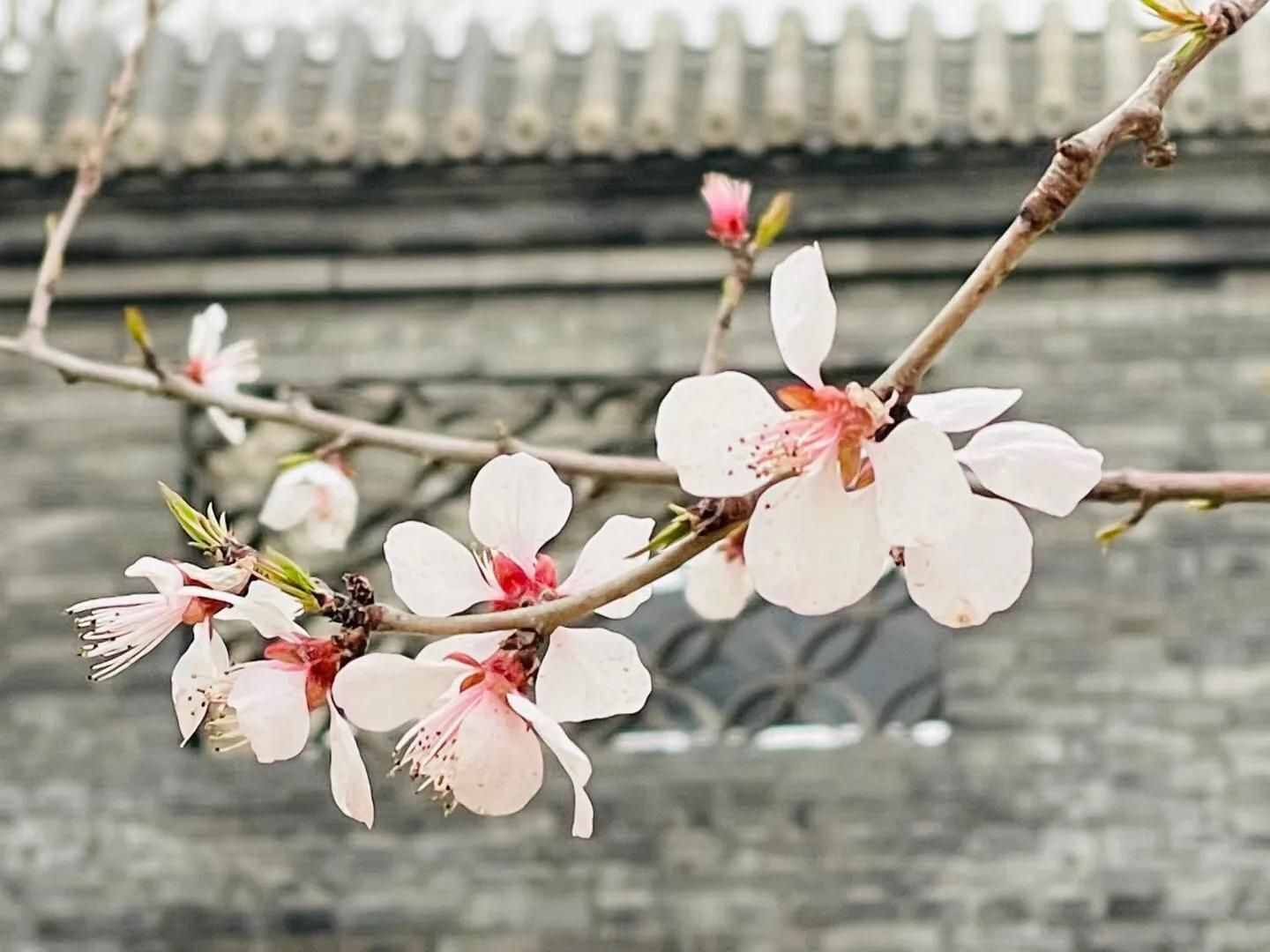 春分—凉风习习