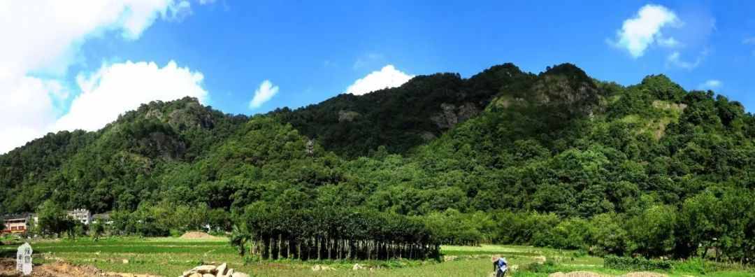 “三山五岳”之——雁荡山旅游全攻略