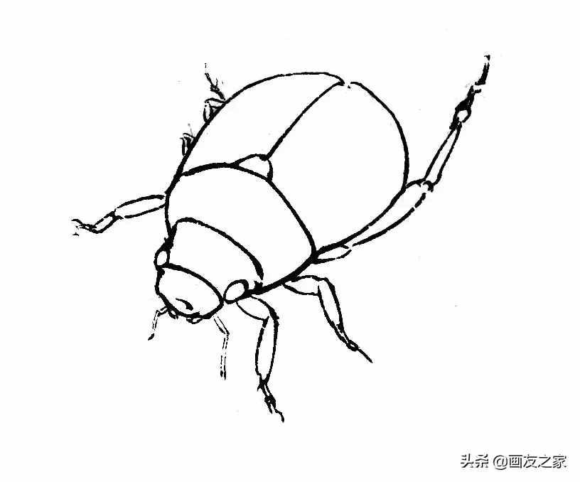 李晓明画草虫 | 铜绿金龟子设色技法（含详细文字解析）