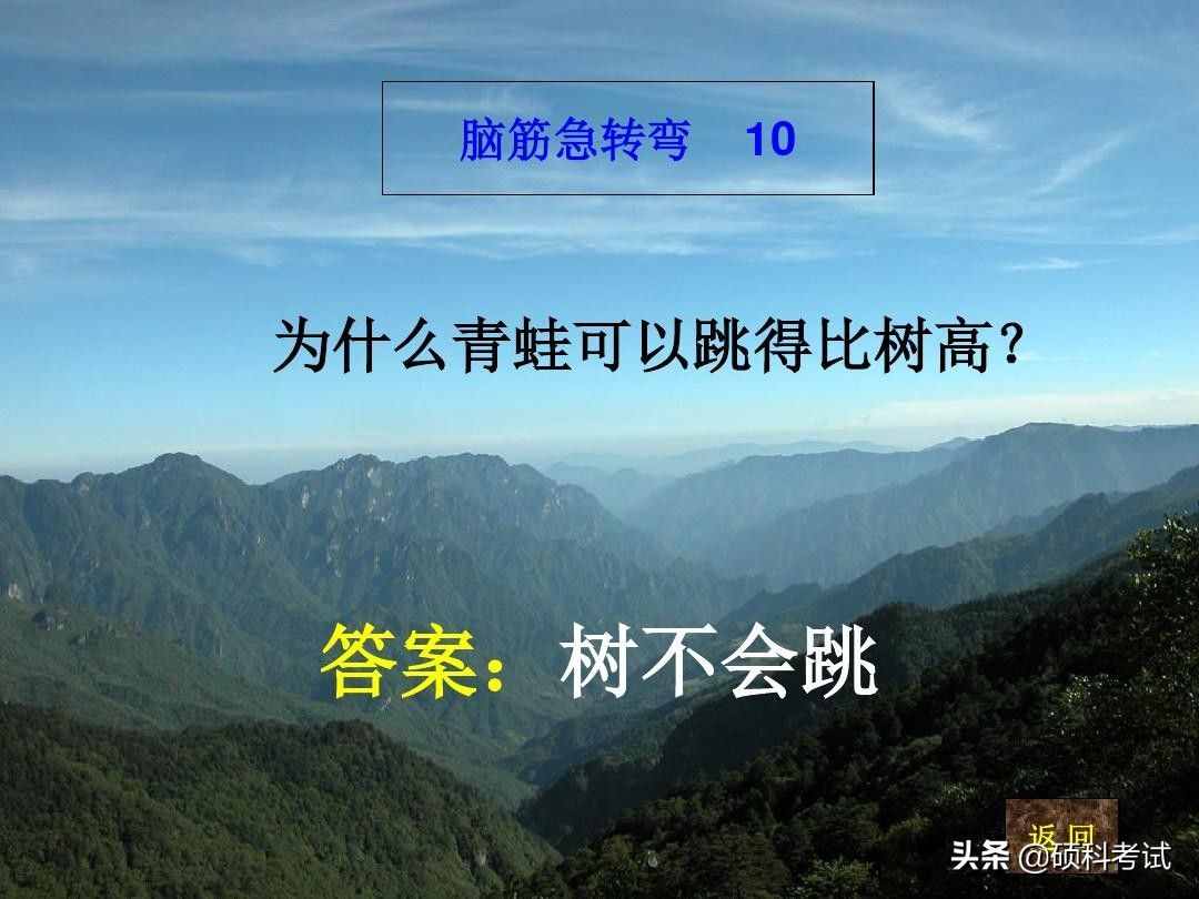 脑筋急转弯:什么样的路不能走？什么动物天天熬夜？一起来看看