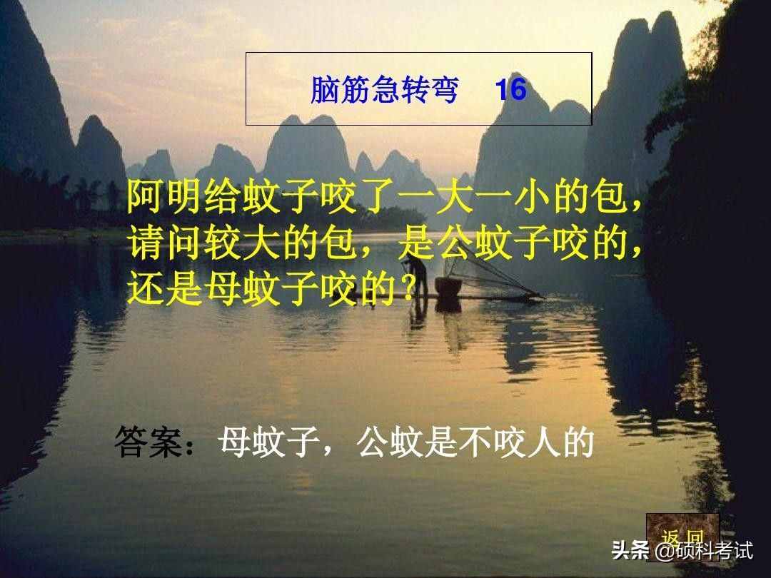 脑筋急转弯:什么样的路不能走？什么动物天天熬夜？一起来看看