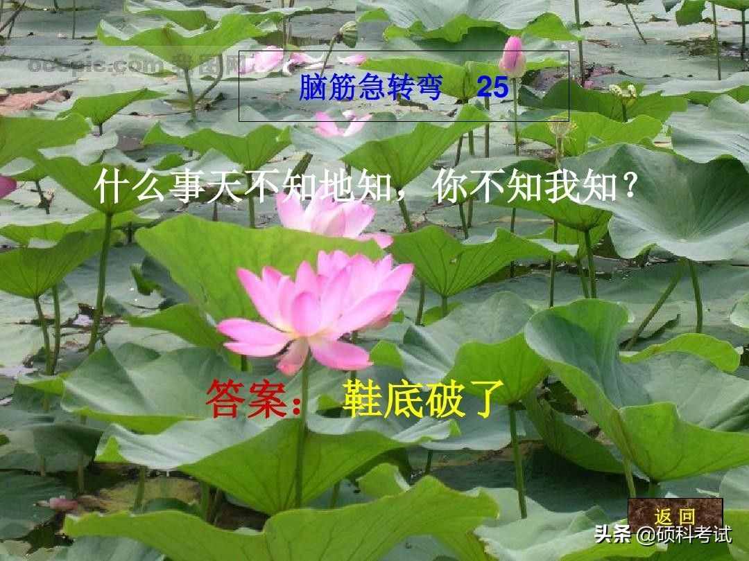 脑筋急转弯:什么样的路不能走？什么动物天天熬夜？一起来看看