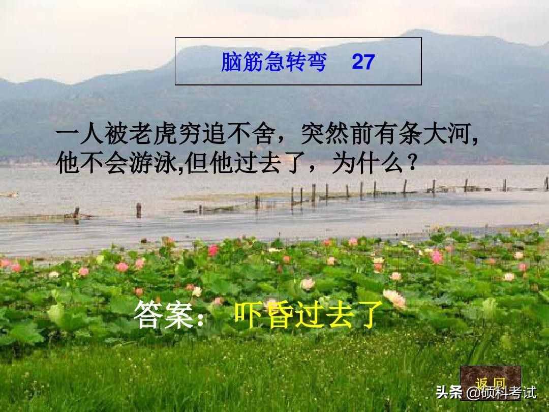 脑筋急转弯:什么样的路不能走？什么动物天天熬夜？一起来看看