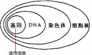 初中生物知识点总结