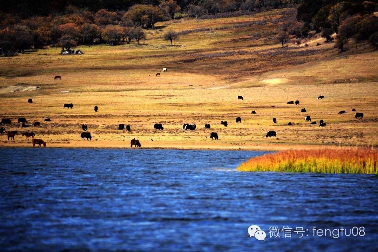 香格里拉到底在云南还是在四川?