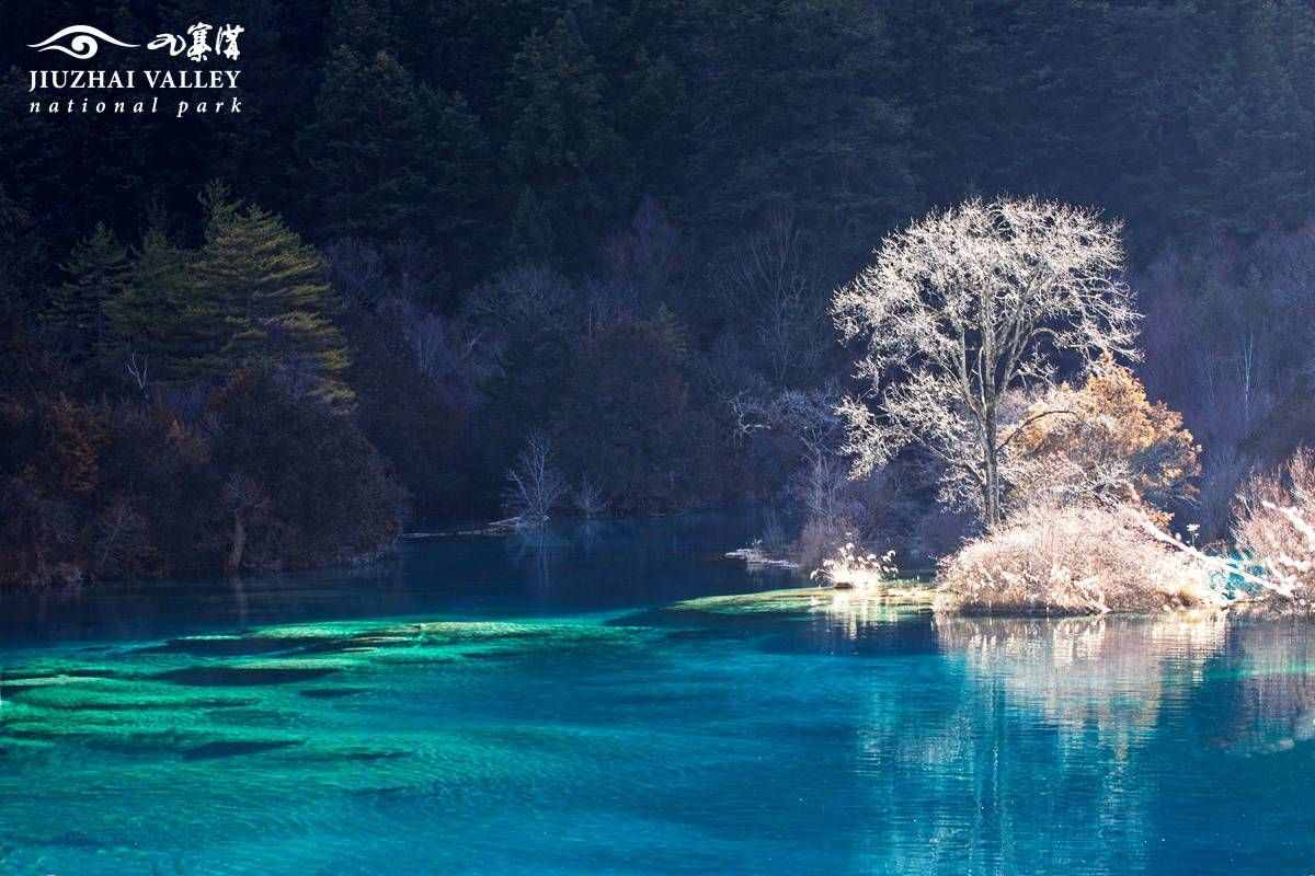 划重点啦！枯草新绿，三月九寨出行指南轻松get！