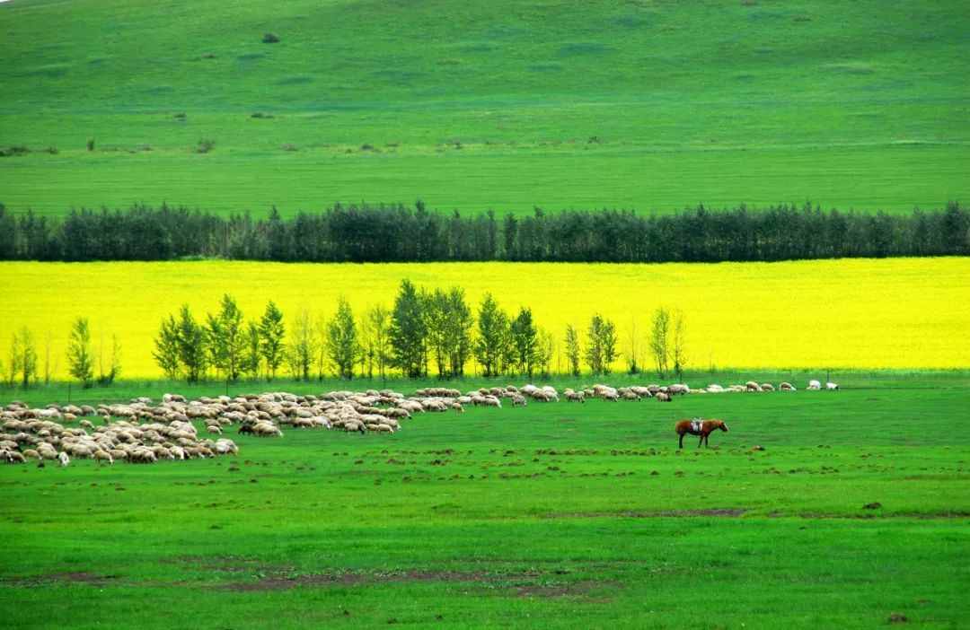 中国最美的十大草原