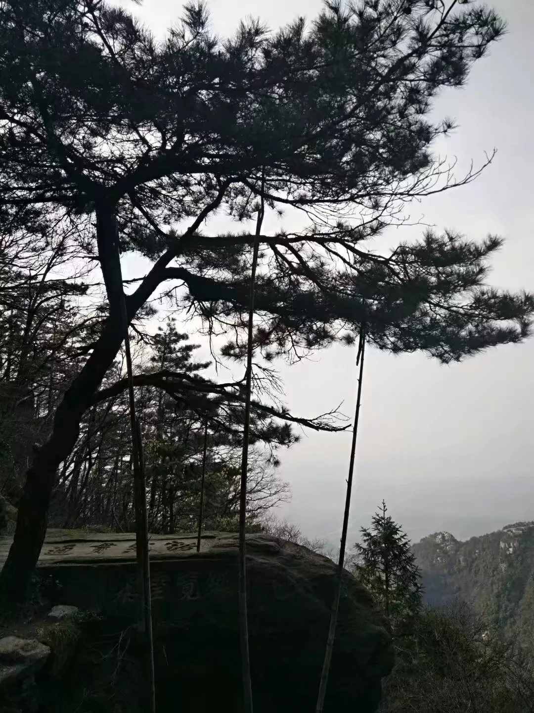 庐山旅游路线安排，想去庐山旅游的必看