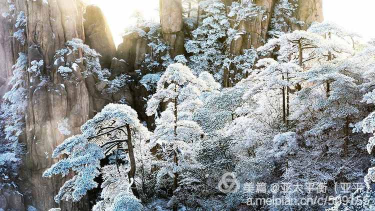 雪韵黄山：五岳归来不看山，黄山归来不看岳