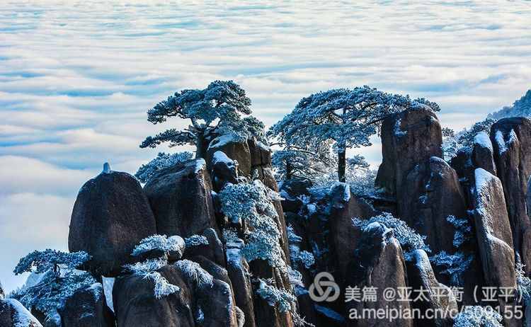 雪韵黄山：五岳归来不看山，黄山归来不看岳