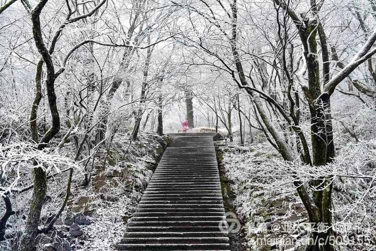 雪韵黄山：五岳归来不看山，黄山归来不看岳