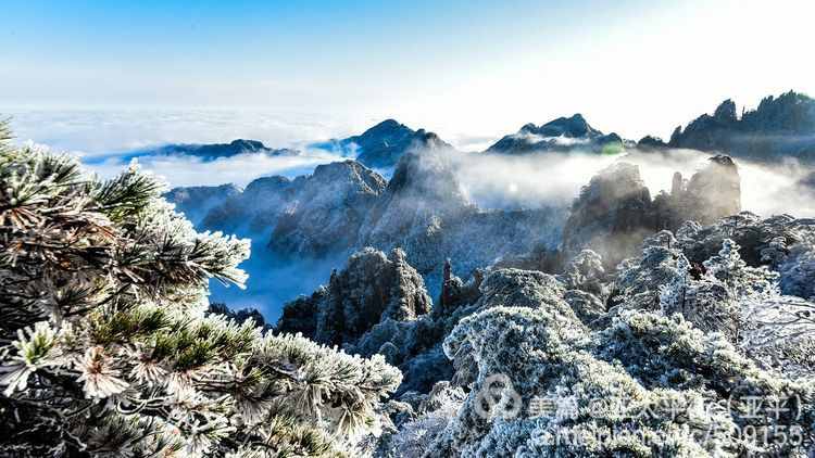 雪韵黄山：五岳归来不看山，黄山归来不看岳