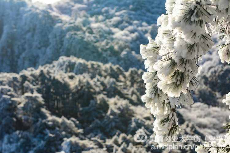 雪韵黄山：五岳归来不看山，黄山归来不看岳