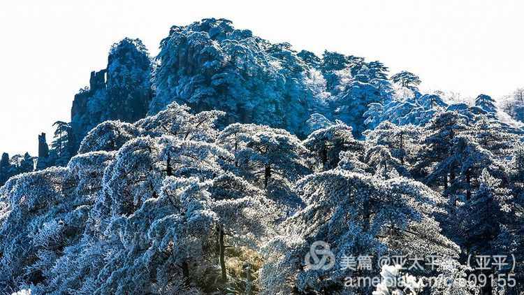 雪韵黄山：五岳归来不看山，黄山归来不看岳