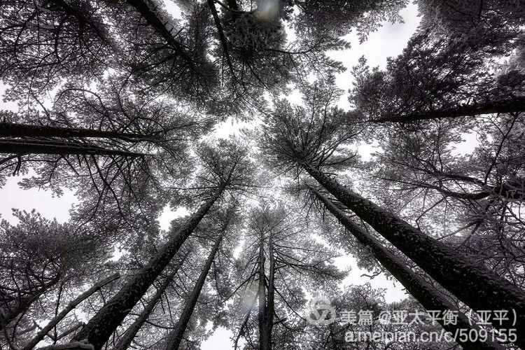 雪韵黄山：五岳归来不看山，黄山归来不看岳