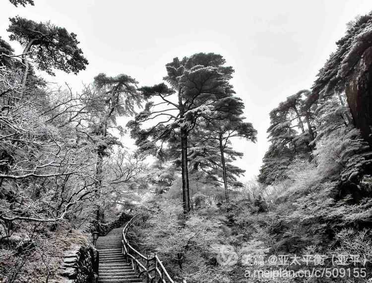 雪韵黄山：五岳归来不看山，黄山归来不看岳