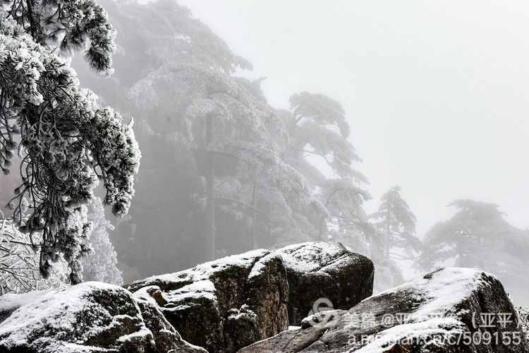 雪韵黄山：五岳归来不看山，黄山归来不看岳