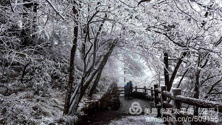 雪韵黄山：五岳归来不看山，黄山归来不看岳