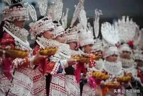 “最古老的东方情人节”：贵州苗族姊妹节，农历三月十五拉开帷幕