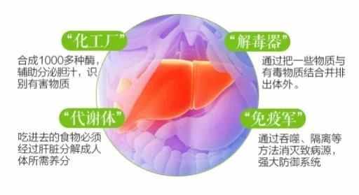 韩国GRN品牌奶蓟草9+护肝宝，帮你改善肝受损！