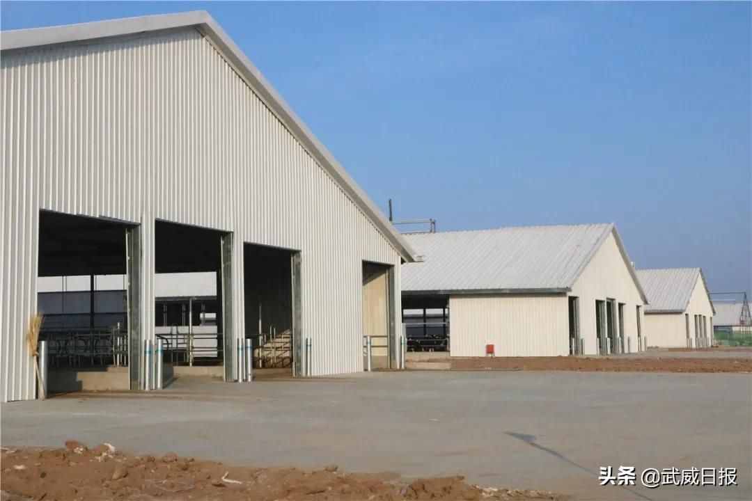 武威优然牧业12000头奶牛养殖示范园建成投运