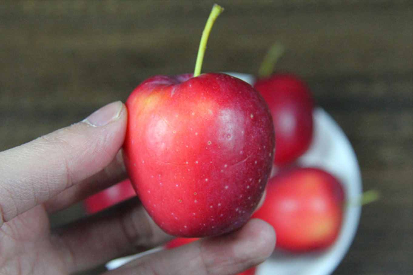 8个比核桃还要小的“童年小苹果”：哪一个印象更深刻？