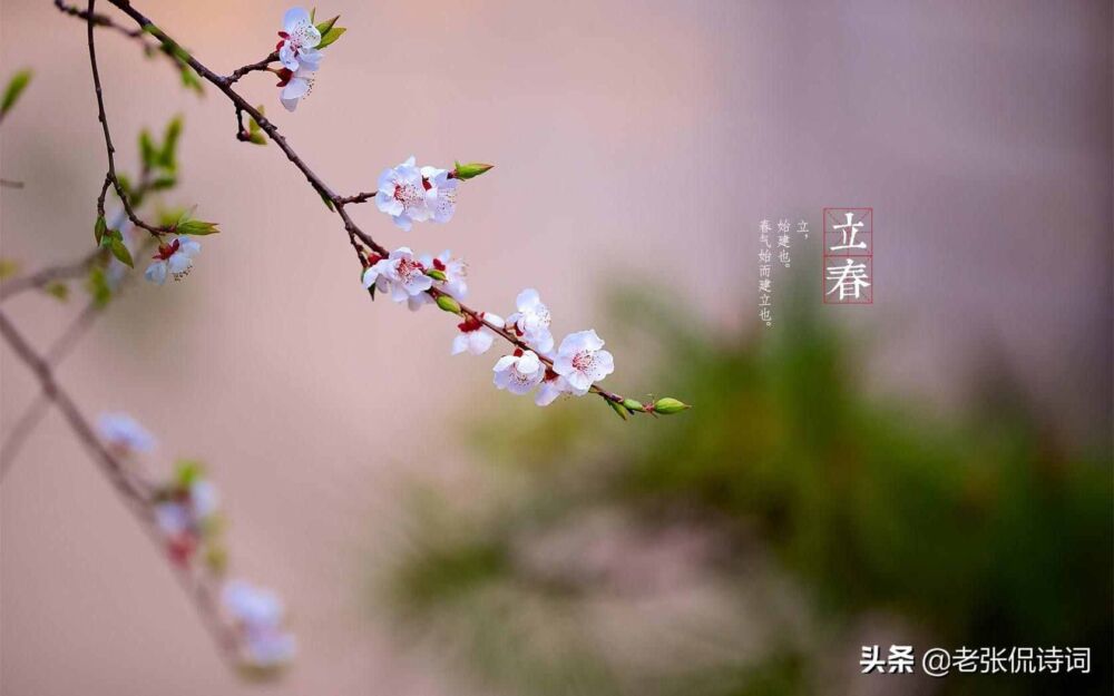 涨知识：“等闲识得东风面，万紫千红总是春”，可不是写春天的诗