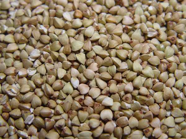 苦荞麦的食用方法及其功效