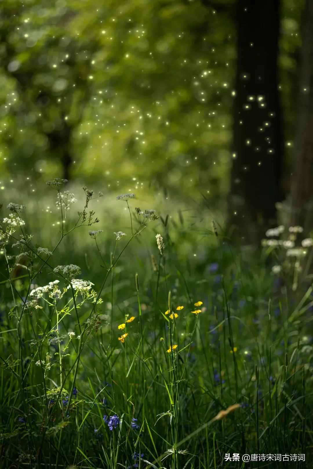 春宵一刻值千金，花有清香月有阴