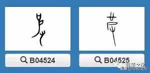 皮-汉字的艺术与中华姓氏文化荀卿庠整理