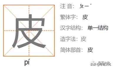 皮-汉字的艺术与中华姓氏文化荀卿庠整理