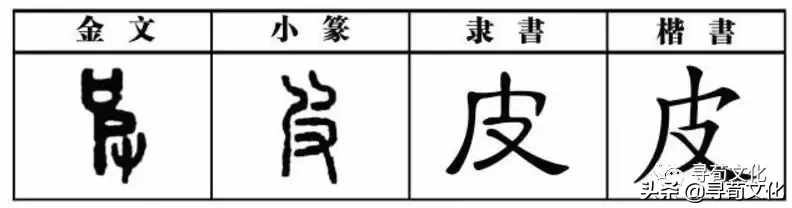 皮-汉字的艺术与中华姓氏文化荀卿庠整理