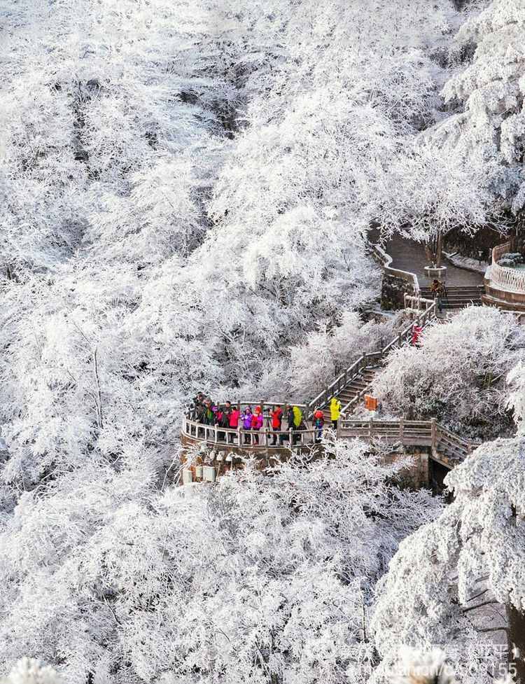 雪韵黄山：五岳归来不看山，黄山归来不看岳