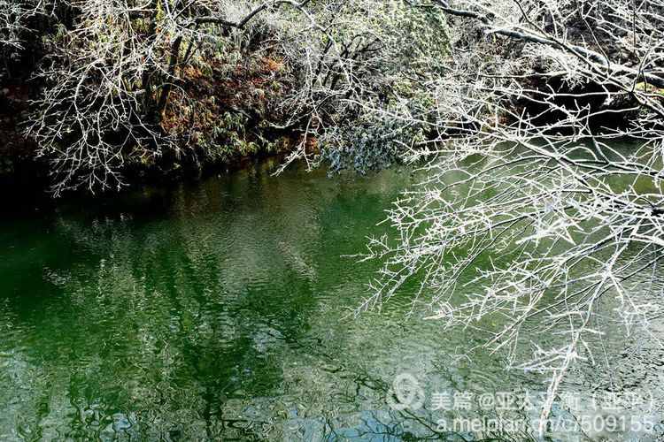 雪韵黄山：五岳归来不看山，黄山归来不看岳