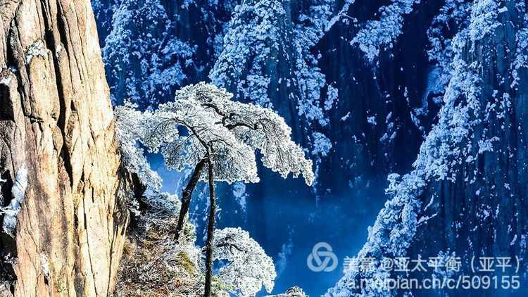 雪韵黄山：五岳归来不看山，黄山归来不看岳