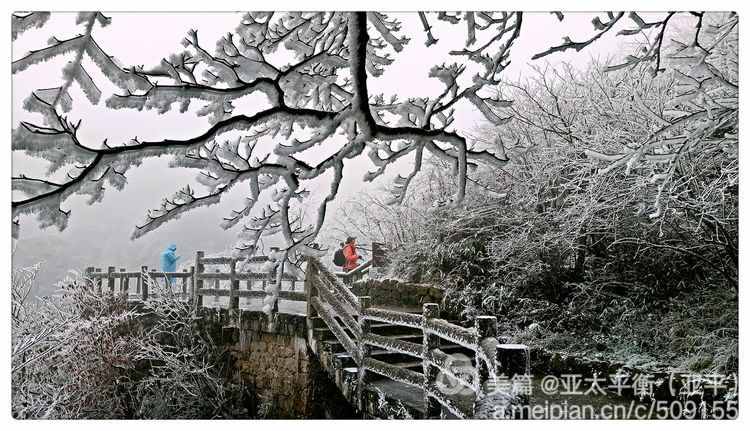 雪韵黄山：五岳归来不看山，黄山归来不看岳