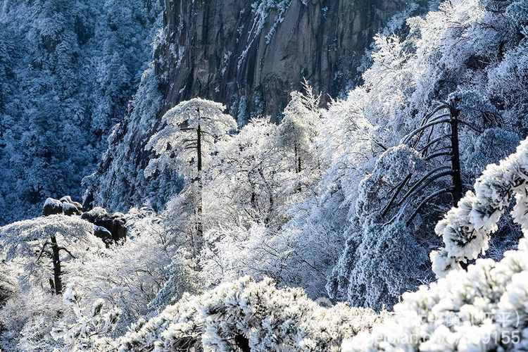 雪韵黄山：五岳归来不看山，黄山归来不看岳