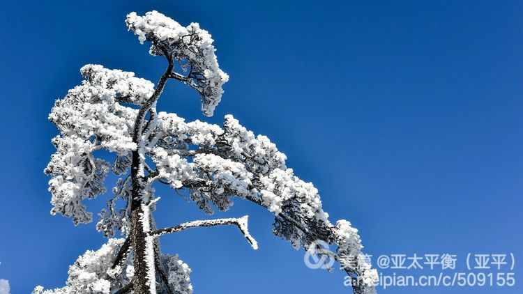 雪韵黄山：五岳归来不看山，黄山归来不看岳