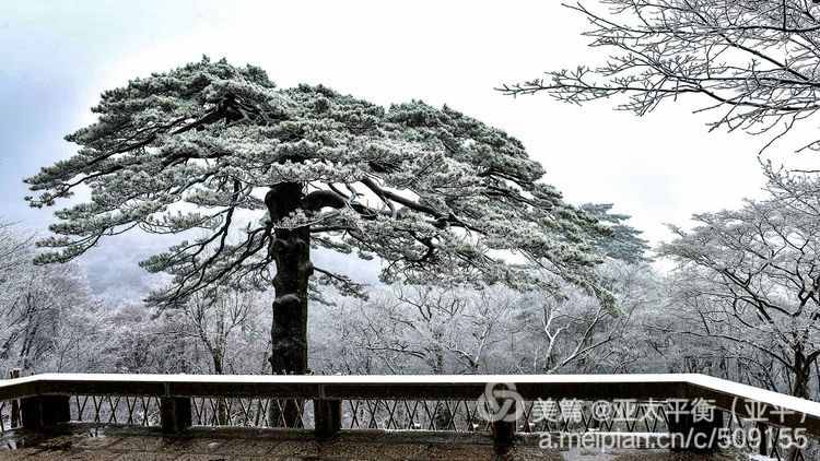 雪韵黄山：五岳归来不看山，黄山归来不看岳