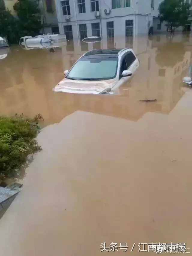 大雨磅礴，汛情紧急，望平安！