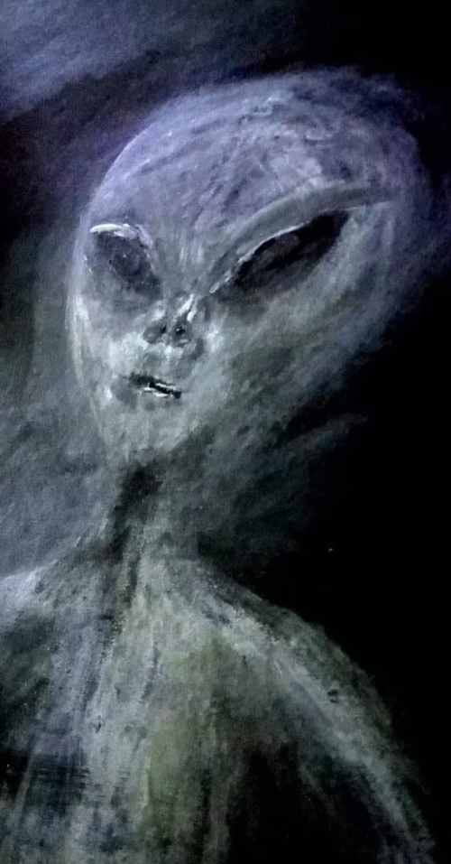 英国一妇女声称自6岁起遭外星人绑架52次，多次登上UFO