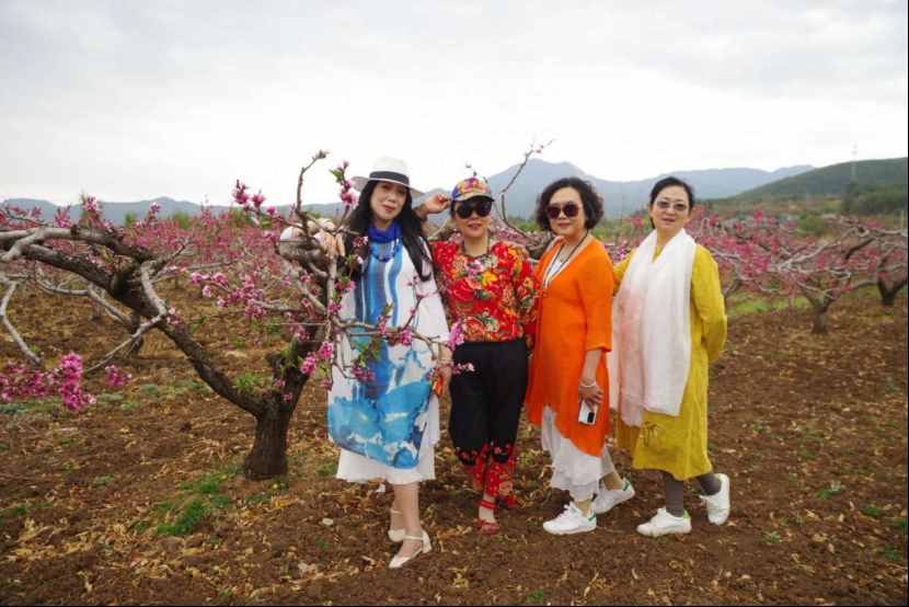 杨向红：阳春三月，丽江雪桃花开成海