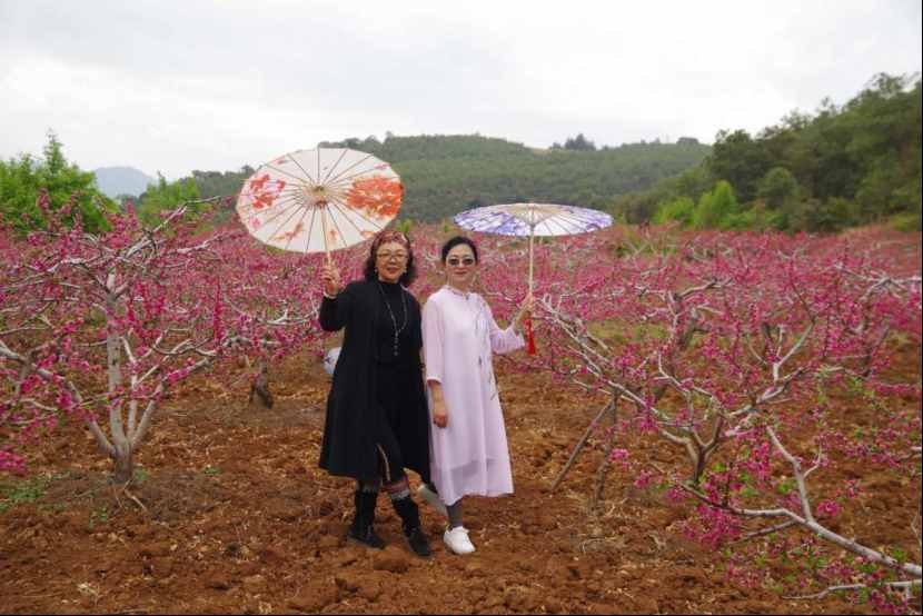 杨向红：阳春三月，丽江雪桃花开成海