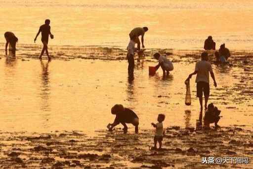 营口鲅鱼圈好玩吗？赶海 温泉 海钓 自驾游圣地 游泳 采摘