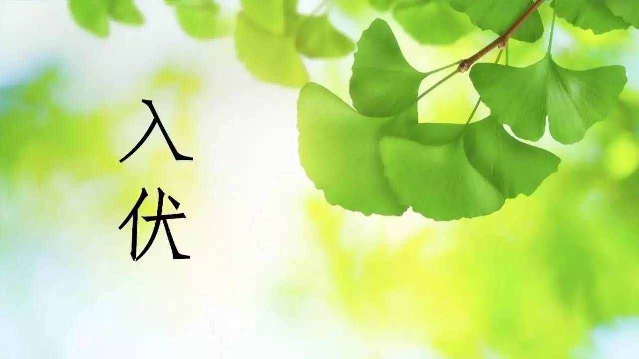 扩散｜热浪来袭 今天正式入伏！有关“三伏”的信息都在这里