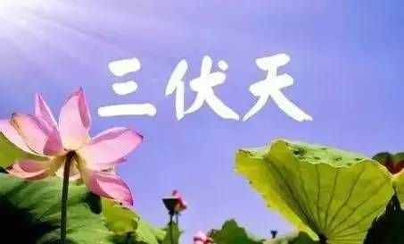 扩散｜热浪来袭 今天正式入伏！有关“三伏”的信息都在这里