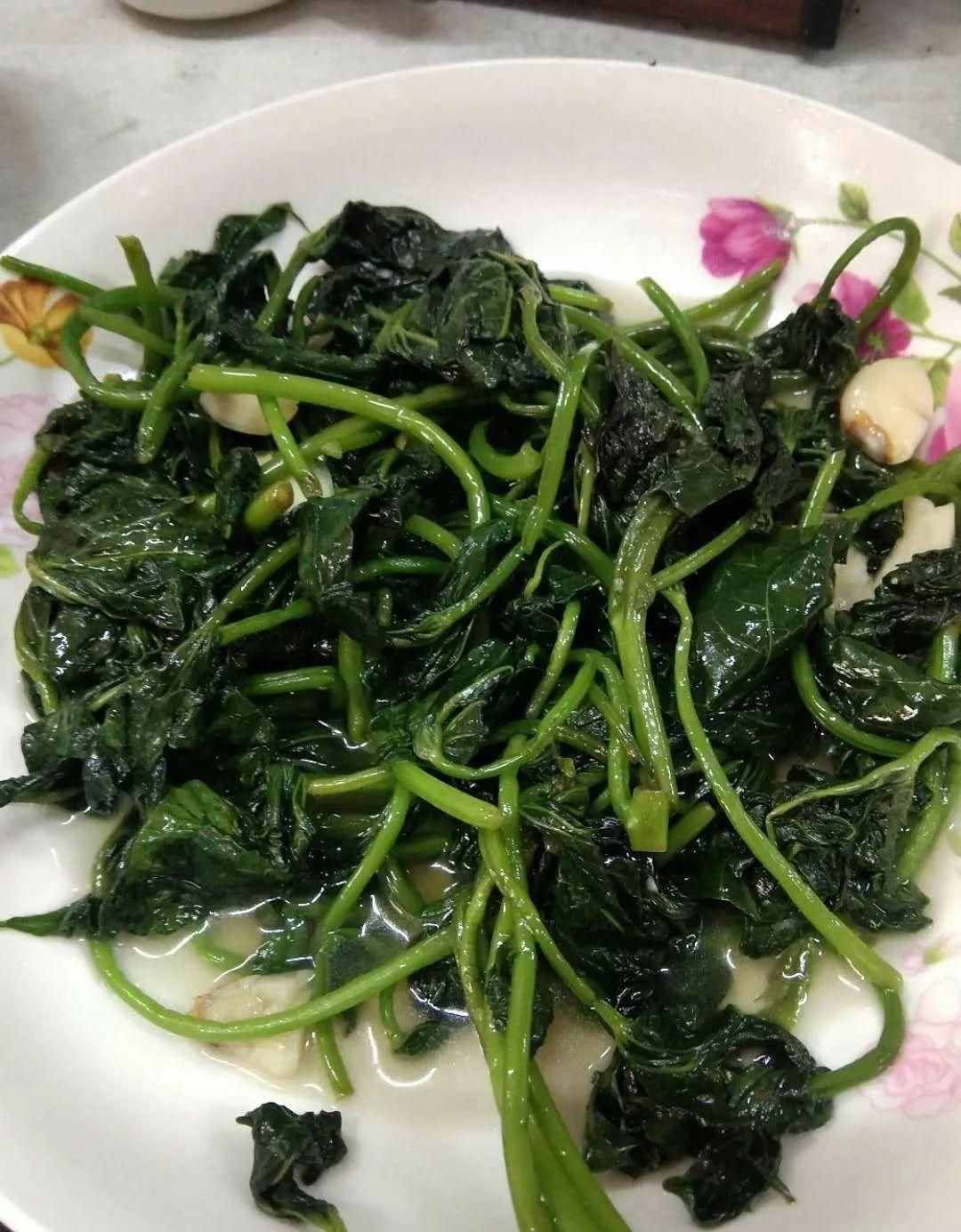 出门挖点野菜，回来栽盆里就生根，摘点做菜，美味又败火