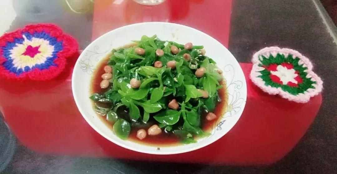 出门挖点野菜，回来栽盆里就生根，摘点做菜，美味又败火