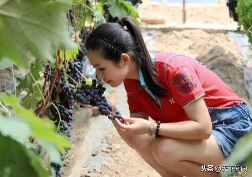 营口鲅鱼圈好玩吗？赶海 温泉 海钓 自驾游圣地 游泳 采摘