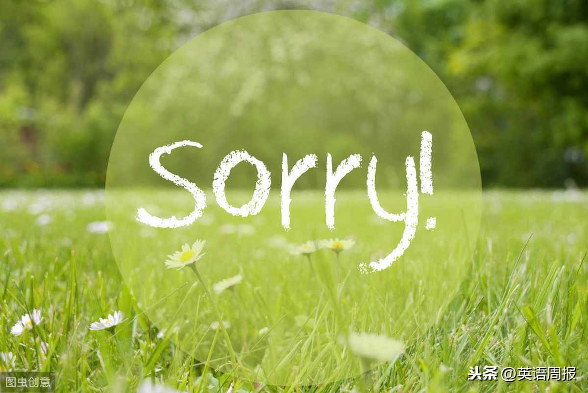 别总用“sorry”表示歉意，这些英语表达更有效